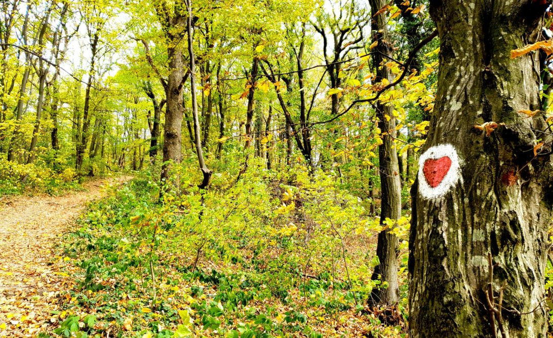 20181028_121635-1-1092x667-1