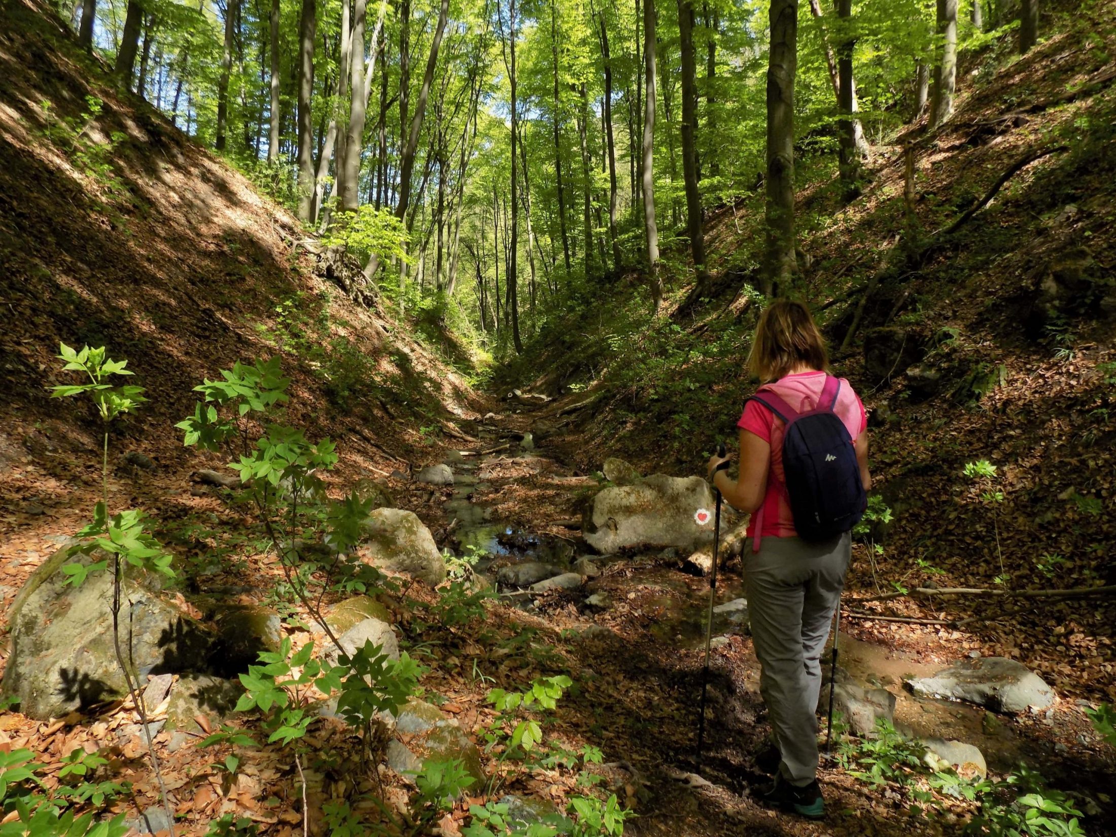 Dumbovacki-potok-2-min-1-scaled-e1614424308734