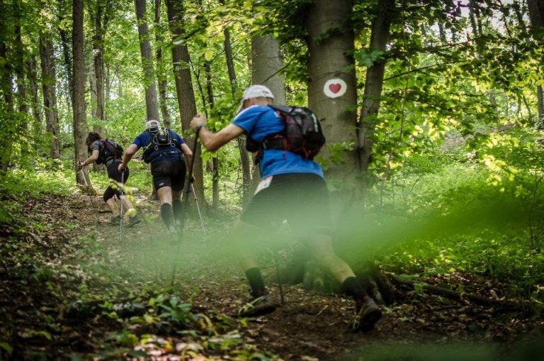 Planinarski-maraton-na-Fruskoj-gori