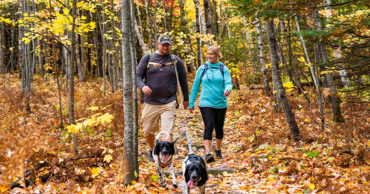 duluth-hiking-couple-superior-national-forest_Rendulich-Photography