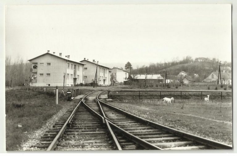 020_001-Vrdnik-2