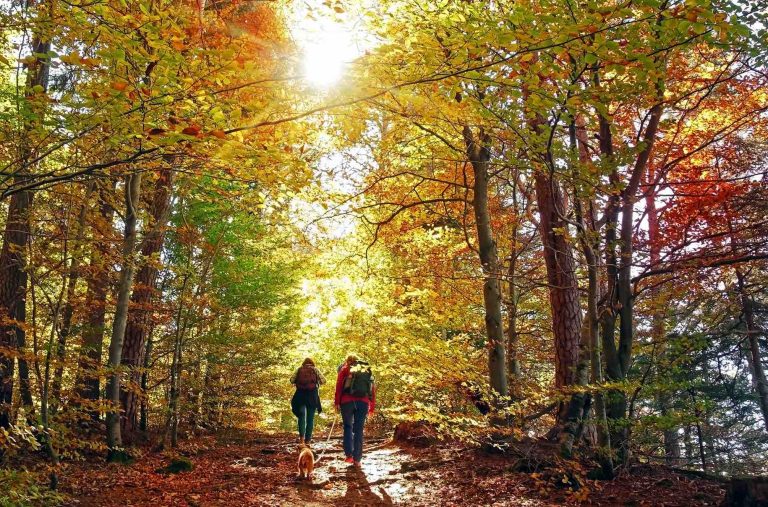 How_hiking_can_improve_your_happiness_and_relationships