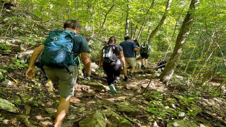 Sugar-Hollow-Hike-One-Trail