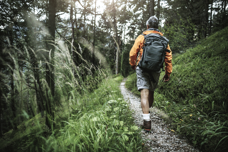 man-walking-forest-stock